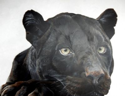 black jaguar